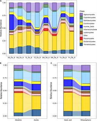 Soil pH Determines the Spatial Distribution, Assembly Processes, and Co-existence Networks of Microeukaryotic Community in Wheat Fields of the North China Plain